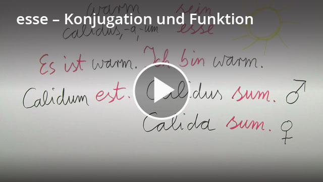 Esse Konjugation Definition Zusammenfassung Easy Schule