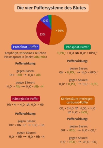 Puffersysteme Definition Zusammenfassung Easy Schule