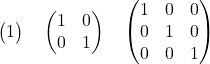 \begin{pmatrix} 1 \end{pmatrix} \quad \begin{pmatrix} 1 & 0 \\ 0 & 1 \end{pmatrix} \quad \begin{pmatrix} 1 & 0 & 0 \\ 0 & 1 & 0 \\ 0 & 0 & 1 \end{pmatrix}