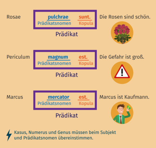 Das lateinische esse als Prädikatsnomen: Beispiele