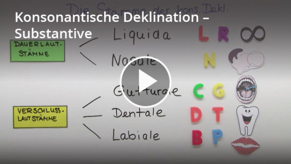 Die konsonantische Deklination: Lernvideo
