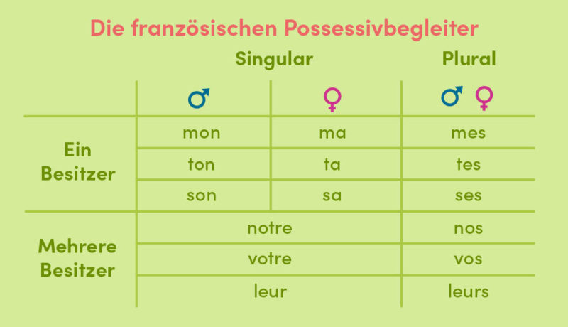 übersetzer Französisch Deutsch Deutsch Französisch Possessivbegleiter & Possessivpronomen Französisch – Definition