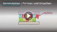 Genmutation – Definition & Zusammenfassung | Easy Schule