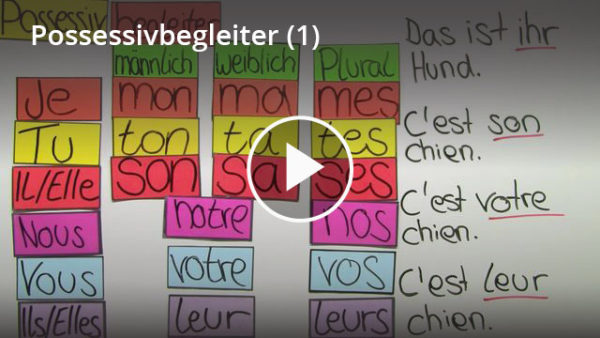 Possessivbegleiter & Possessivpronomen Französisch: Lernvideo