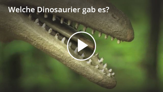 Wie Viele Dinosaurier Gab Es easy-schule.de