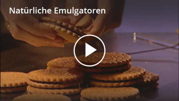 Emulgatoren: Lernvideo