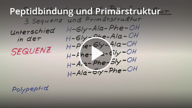 Peptidbindung Definition & Zusammenfassung Easy Schule