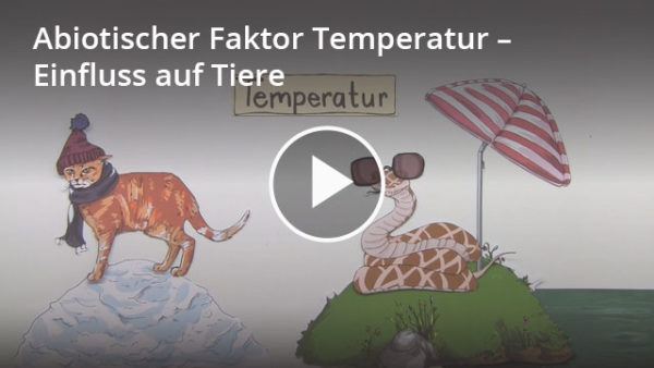 Wechselwarme und gleichwarme Tiere: Lernvideo