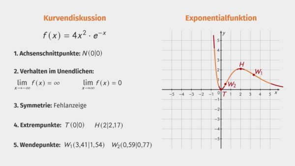 Kurvendiskussion Exponentialfunktion