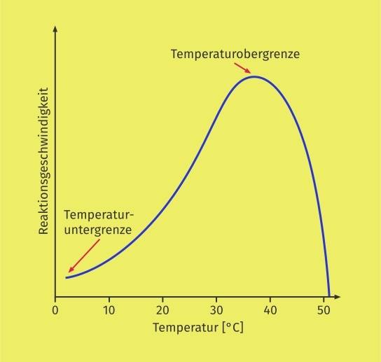 RGT Regel Definition Zusammenfassung Easy Schule