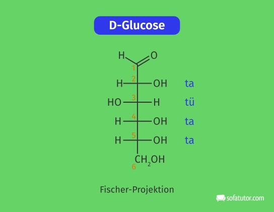 Fischer-Projektion der D-Glucose