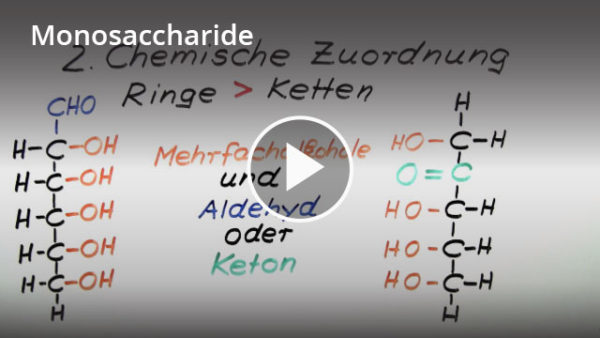 Monosaccharide: Lernvideo