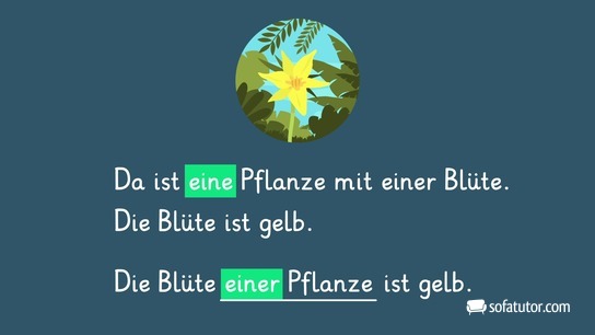 eine Pflanze - einer Pflanze