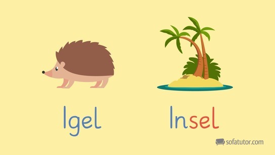 Igel und Insel