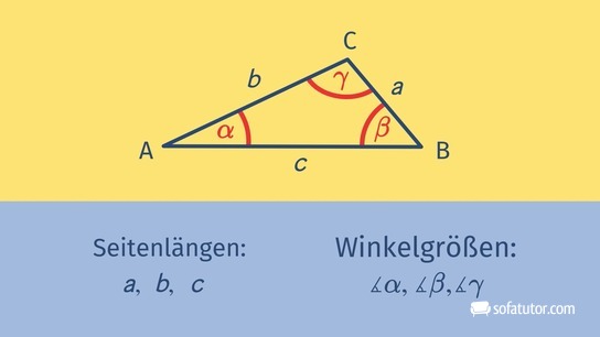 Trigonometrie - Seitenlängen und Winkelgrößen