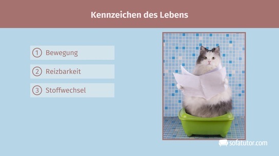 Drei Kennzeichen des Lebens