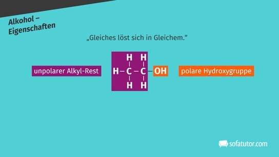 Eigenschaften der Hydroxylgruppe der Alkohole